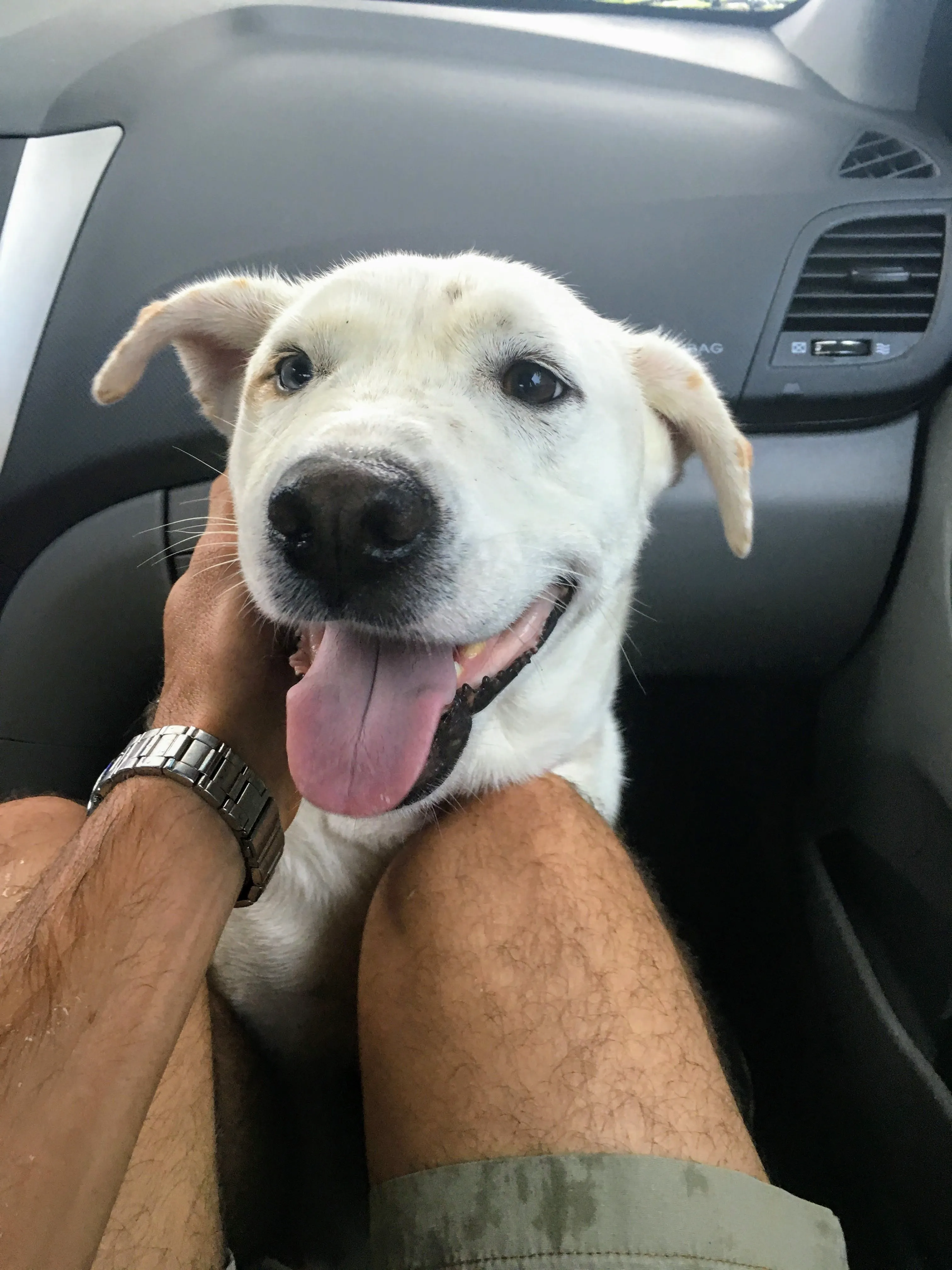Adoption day, 2015