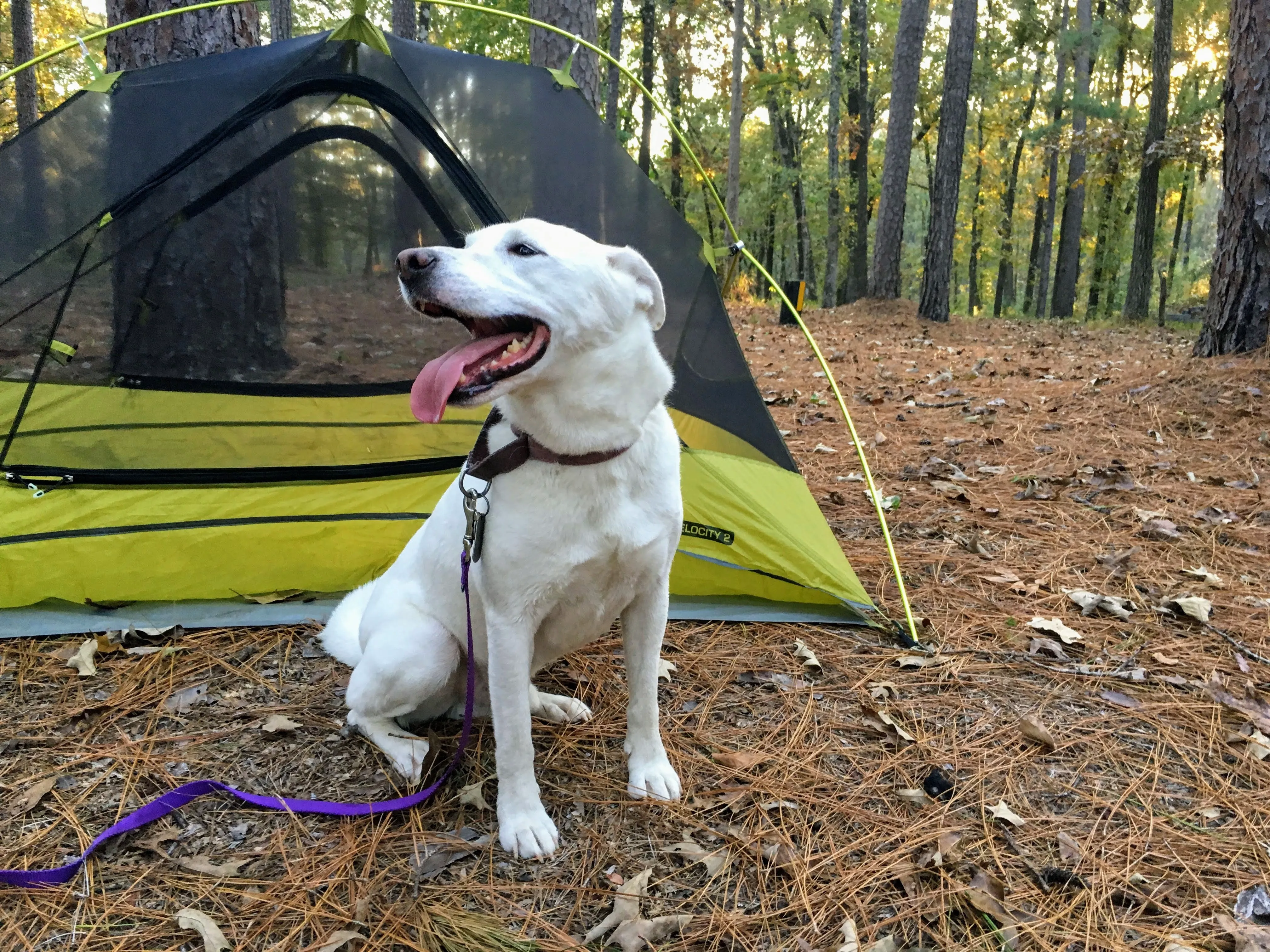 First camping trip