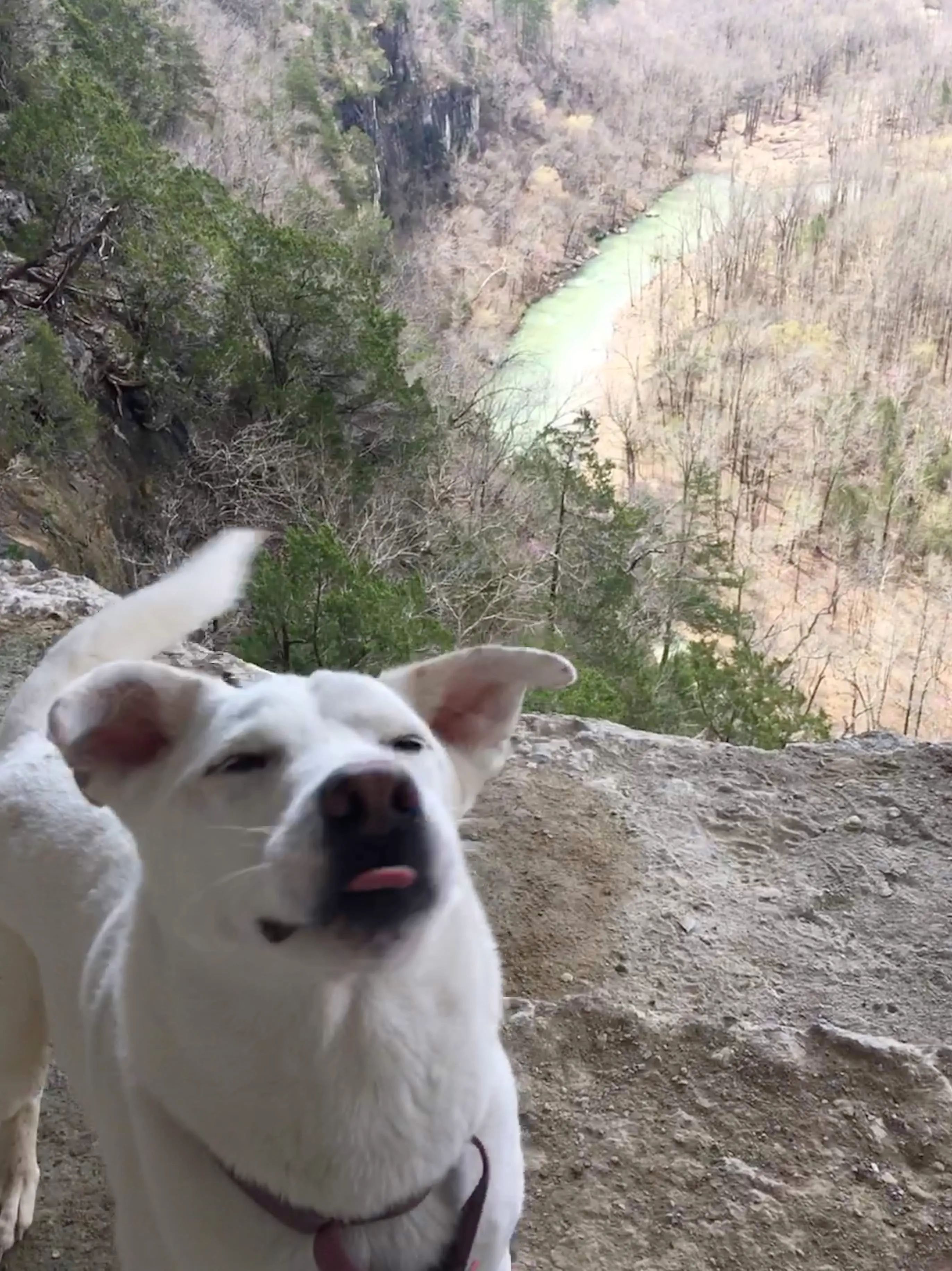 Hiking the Ozarks, :P