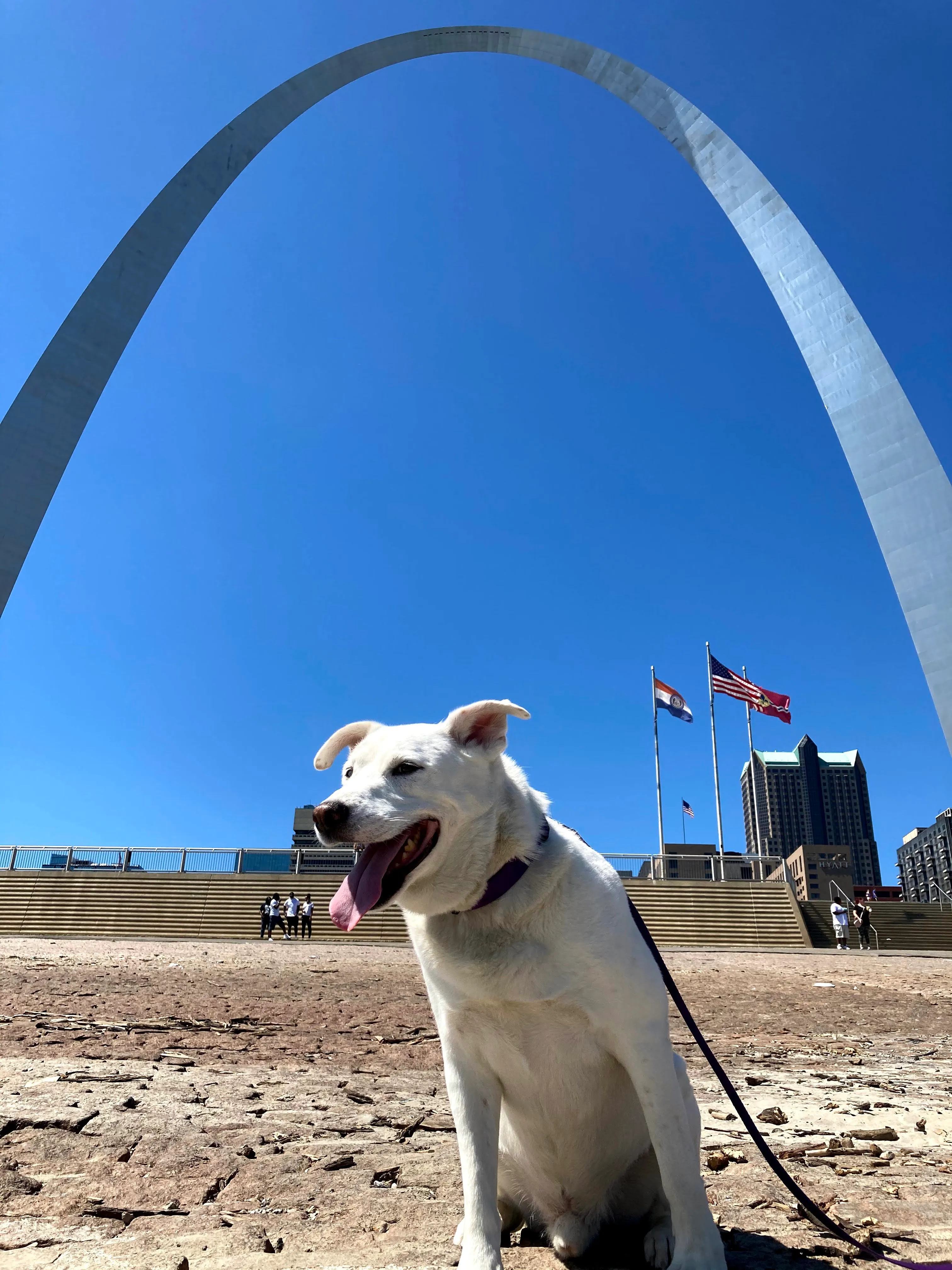At the Gateway Arch