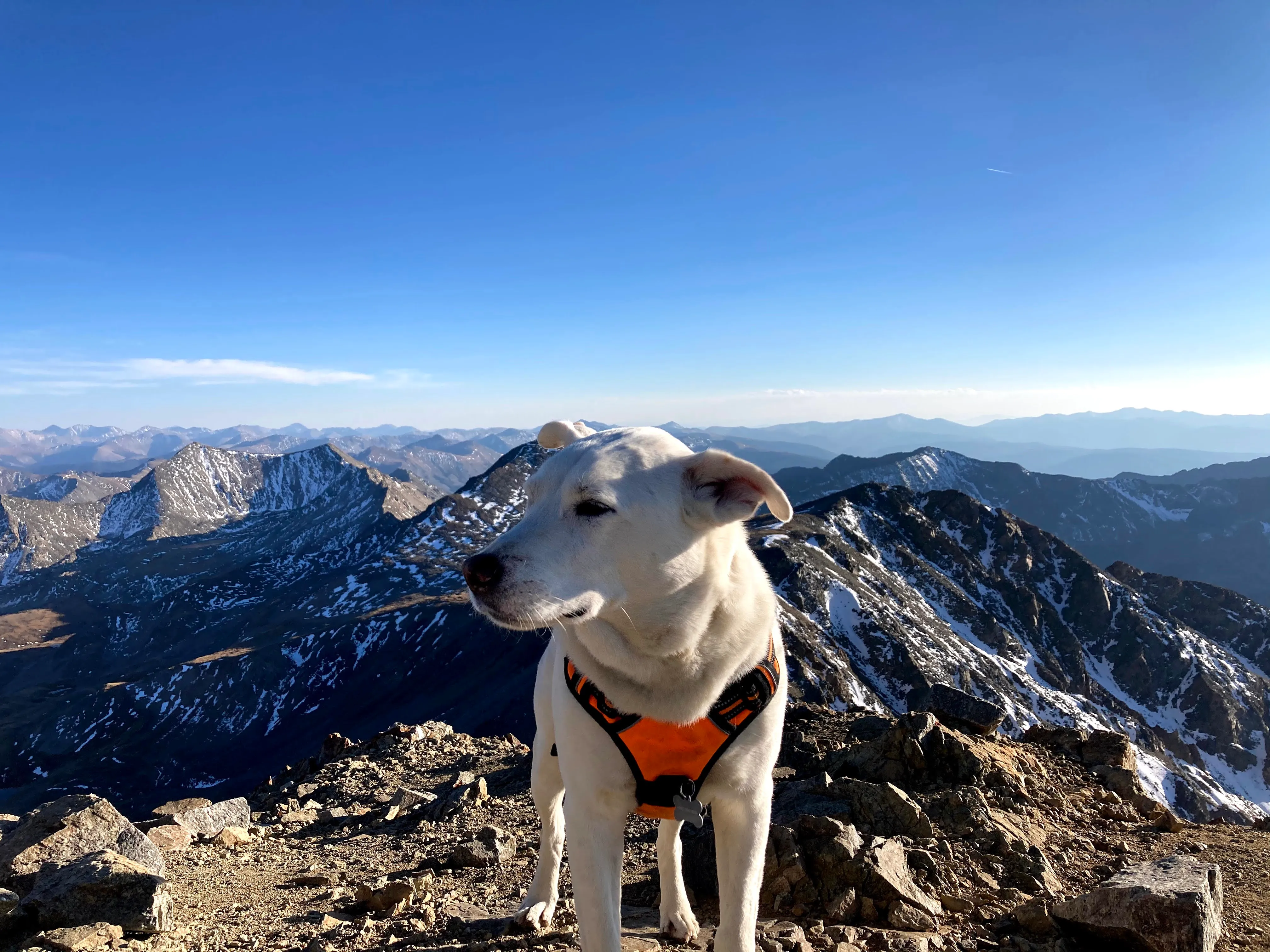 One of many 14'er's summitted