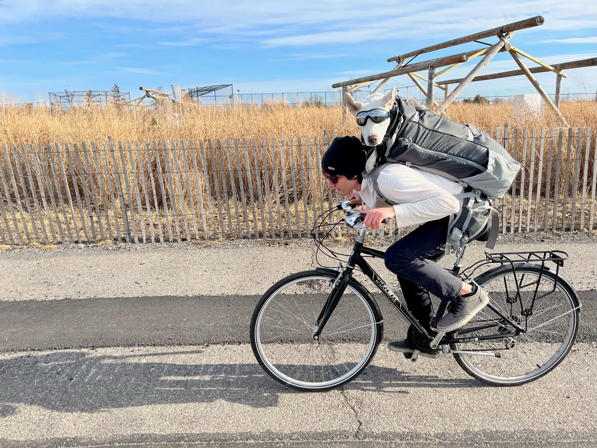 Backpack training
