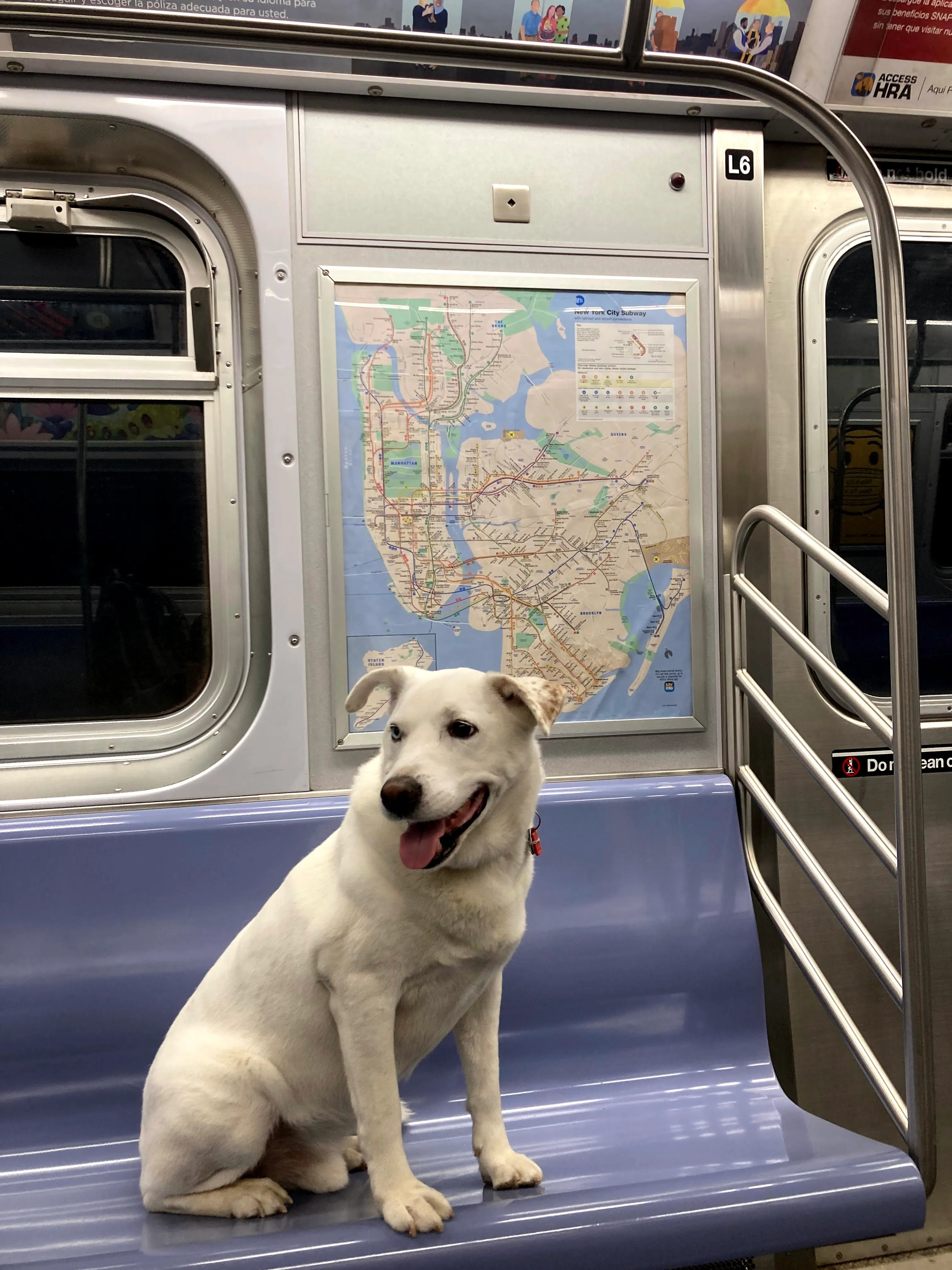 Riding the NYC subway