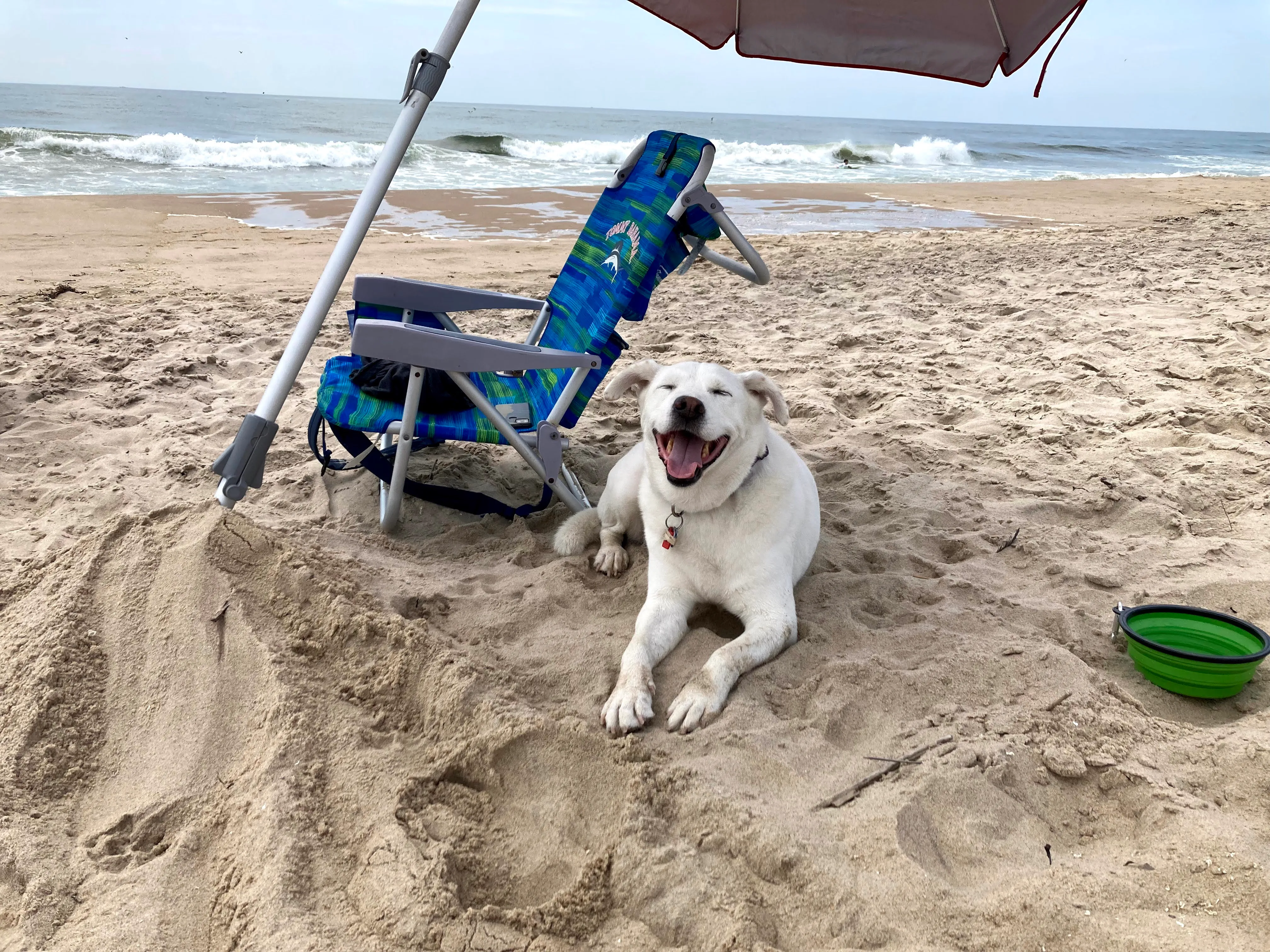 Beach day