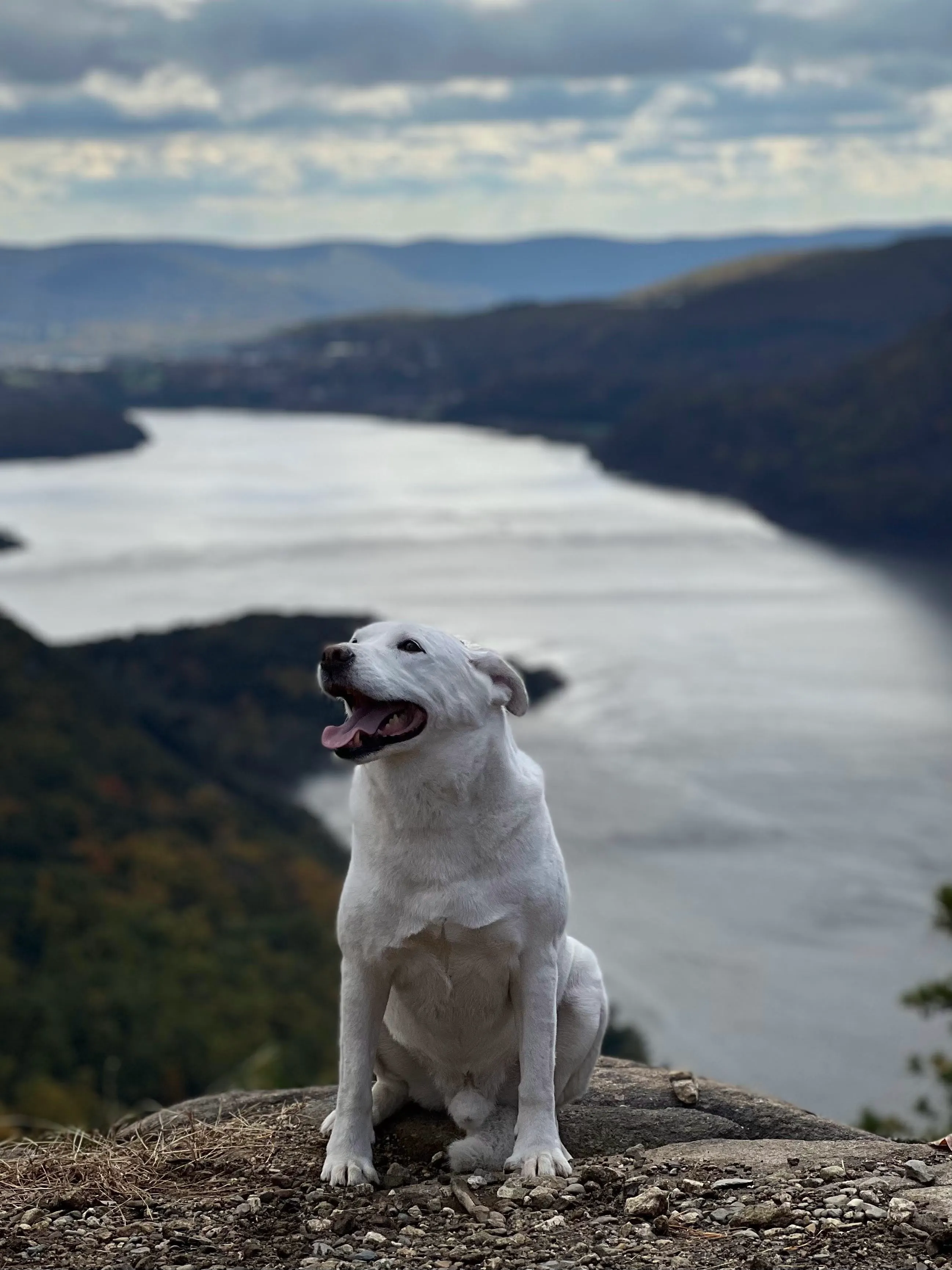 Hiking on the Hudson