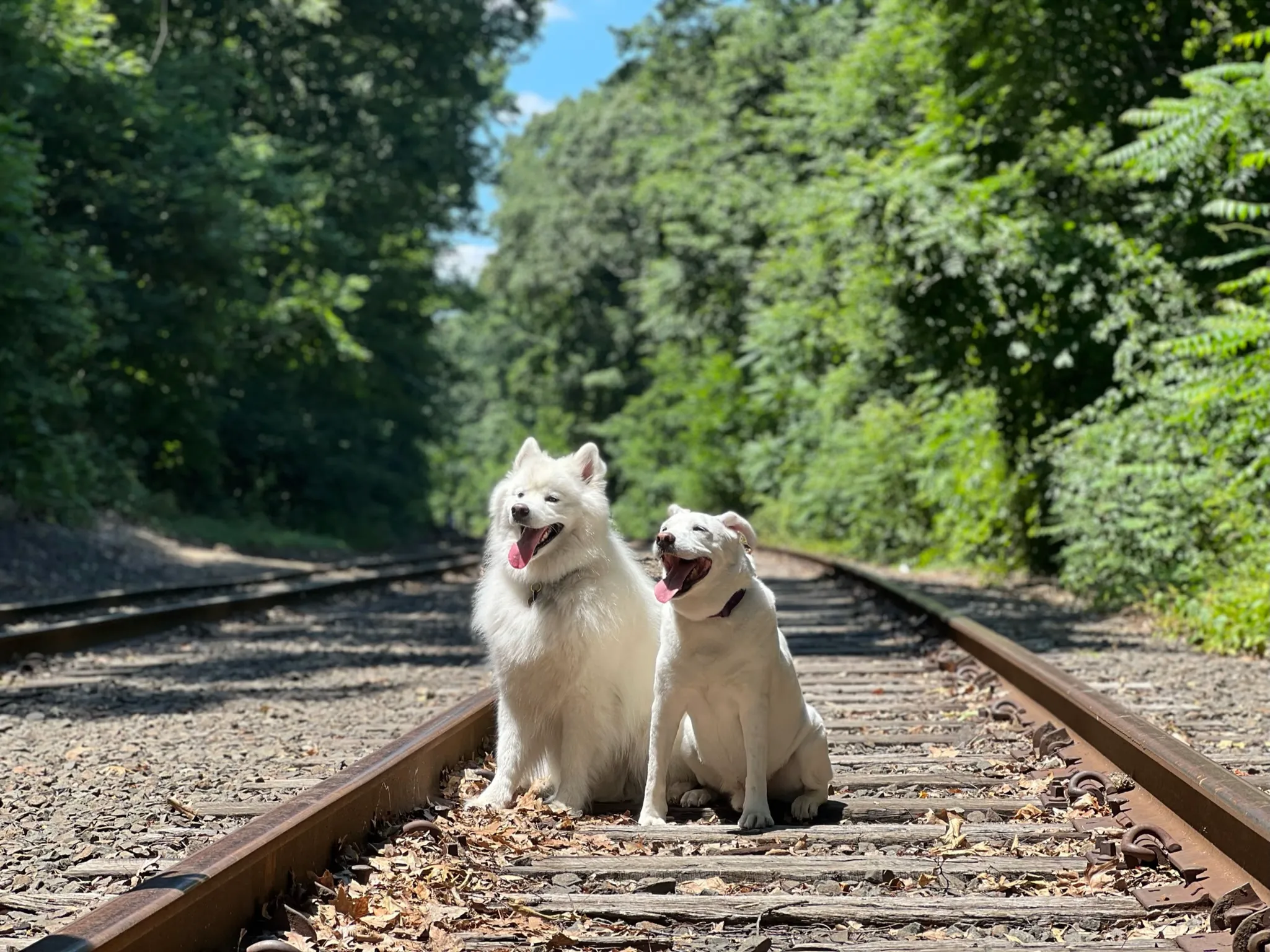 BFFs