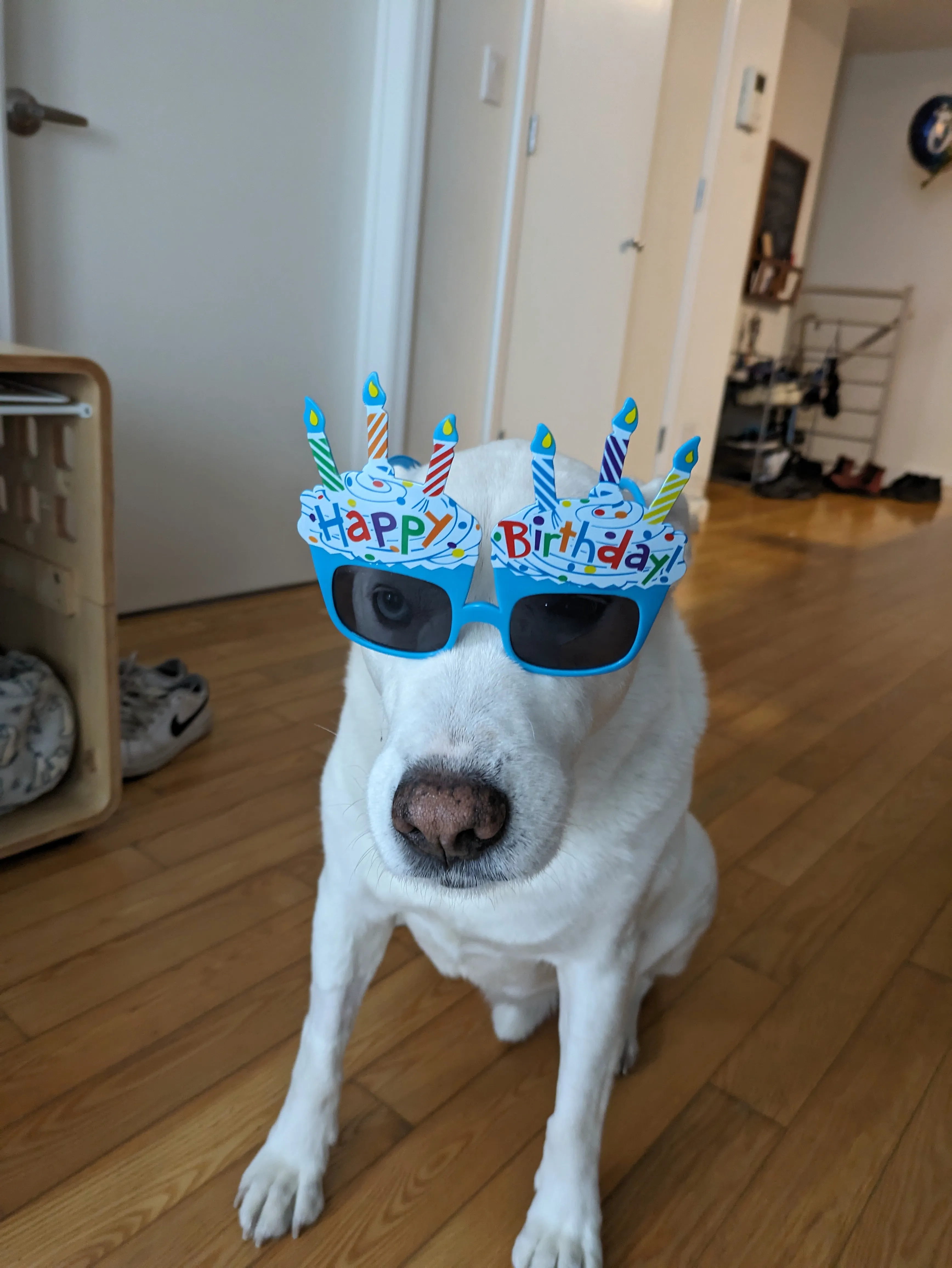 10th bday