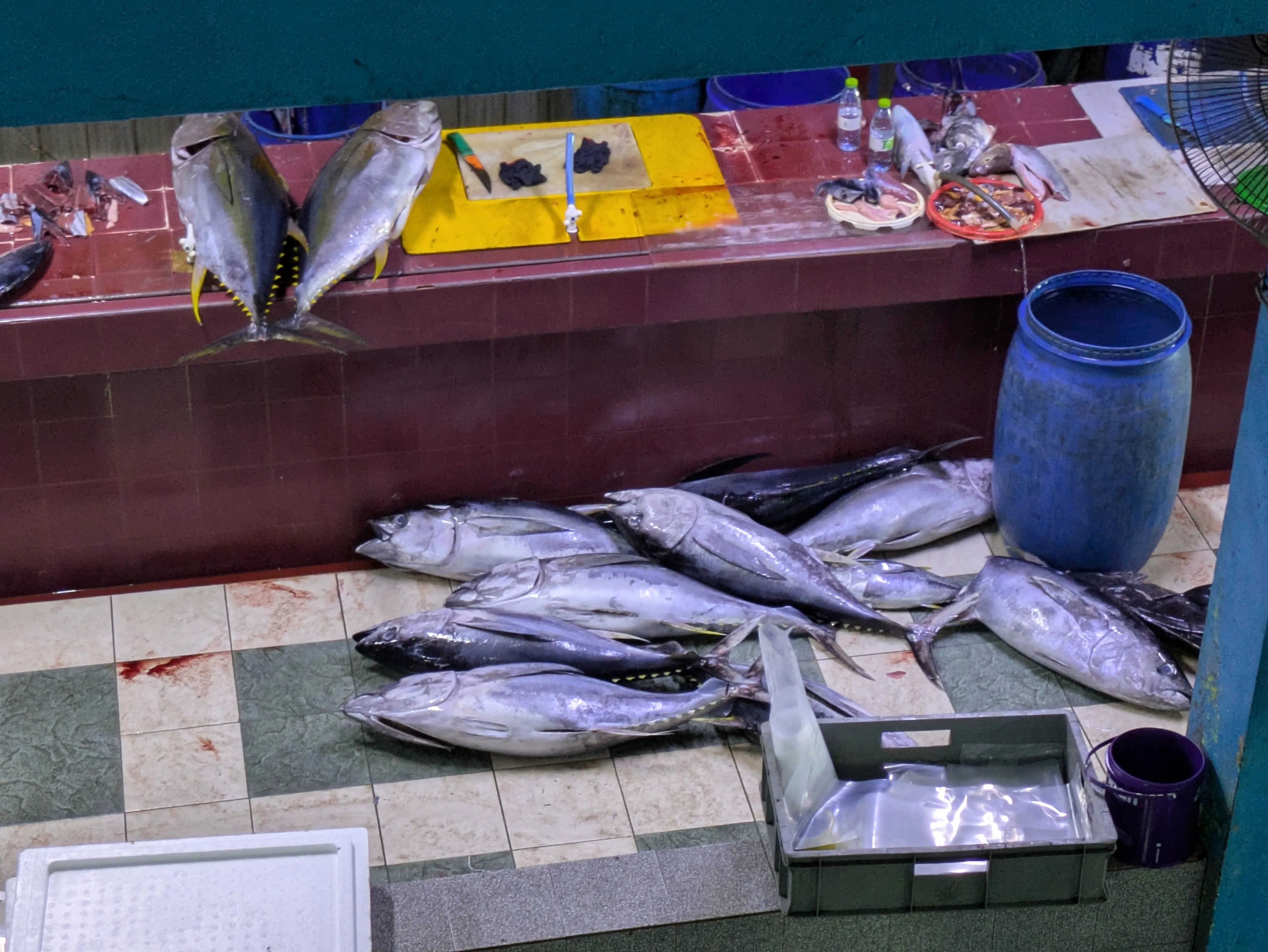 The Male fish market.